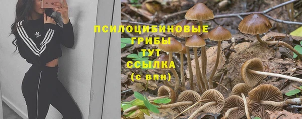 каннабис Лабытнанги