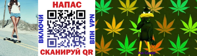 Конопля Bruce Banner Пересвет